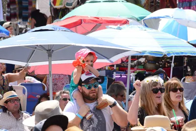 DSC_2088 (Large).JPG